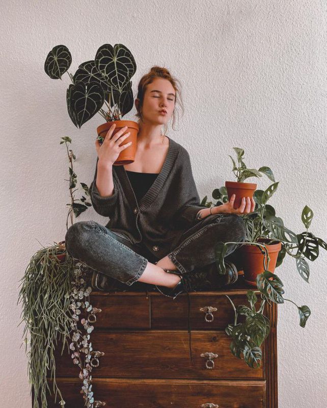 dschungelimherzen Zimmerpflanzen Dschungel Grüner Daumen Pflanzenpflege Instagram Inspiration