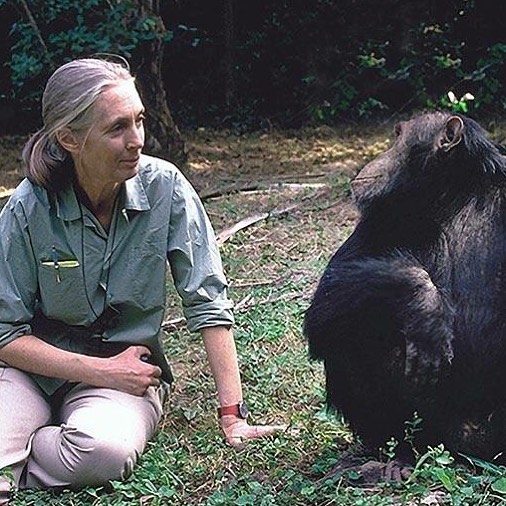 HEYDAY-Interview: Dr. Jane Goodall