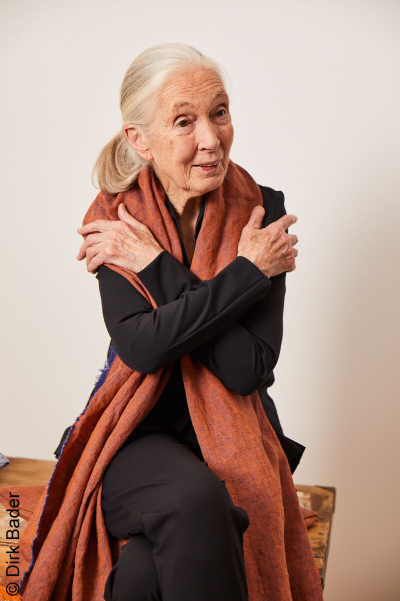 Jane Goodall Interview 2021 Stiftung Charity Heyday Magazine