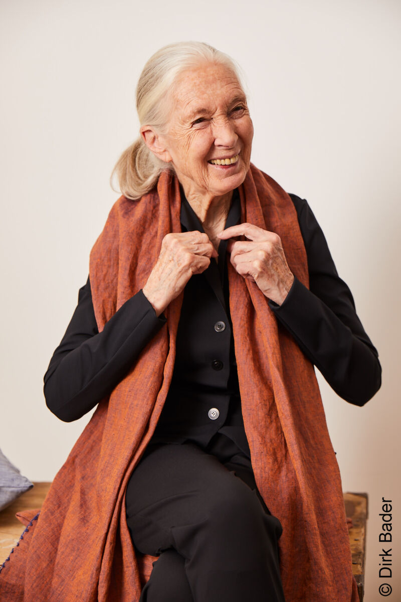 Jane Goodall Interview 2021 Stiftung Charity Heyday Magazine