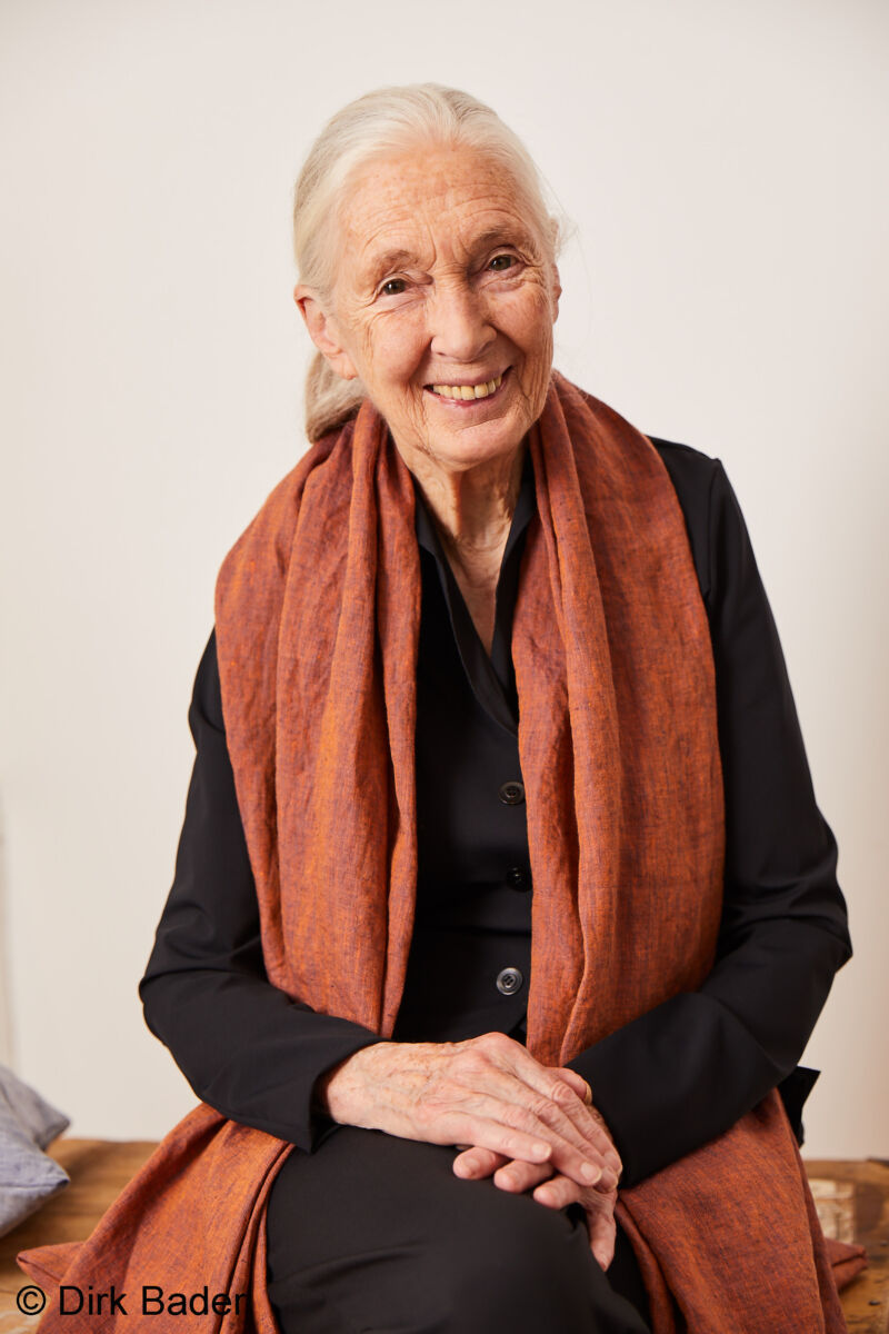 Jane Goodall Interview T-shirt Charity Elemente Clemente