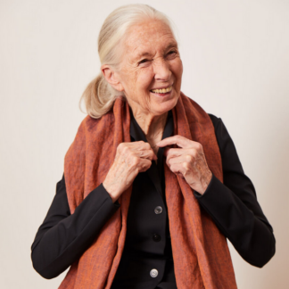 Jane Goodall Interview Charity