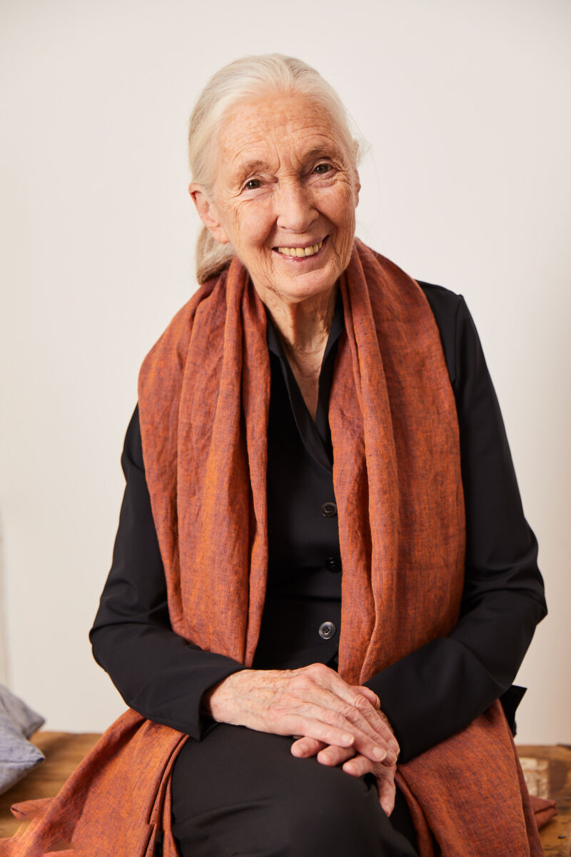 HEYDAY-Interview: Dr. Jane Goodall