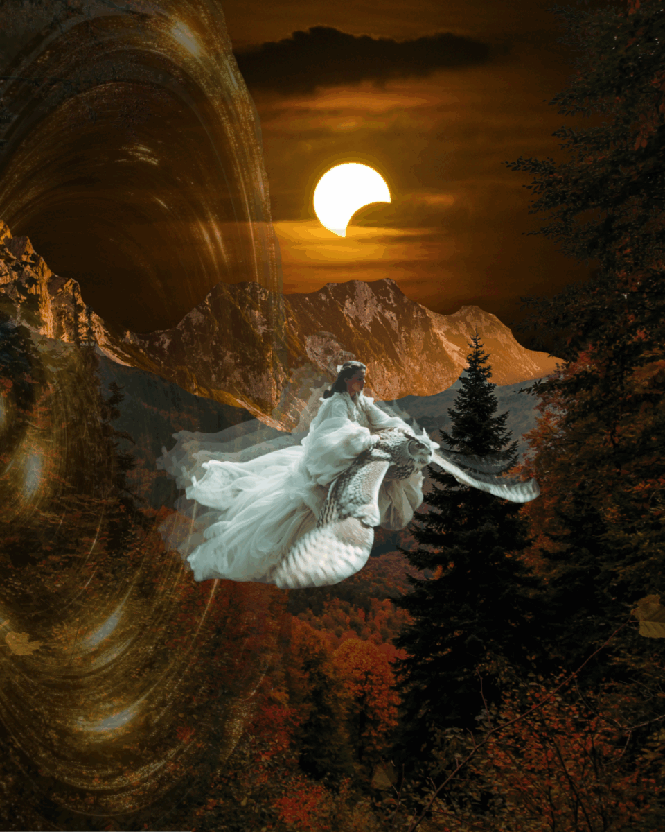 Collage von Amélie Gebhard