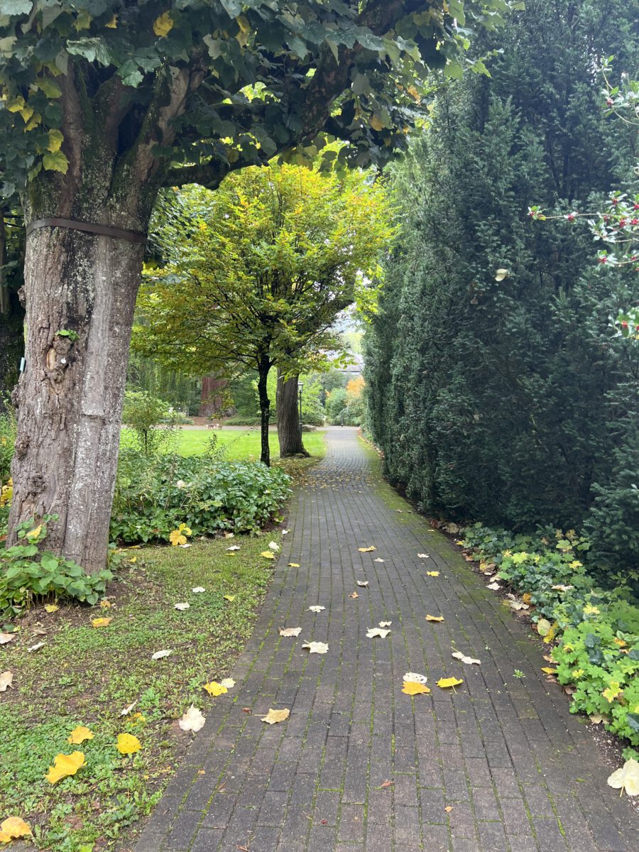 Das Ayurveda Parkschlösschen in Traben-Trarbach