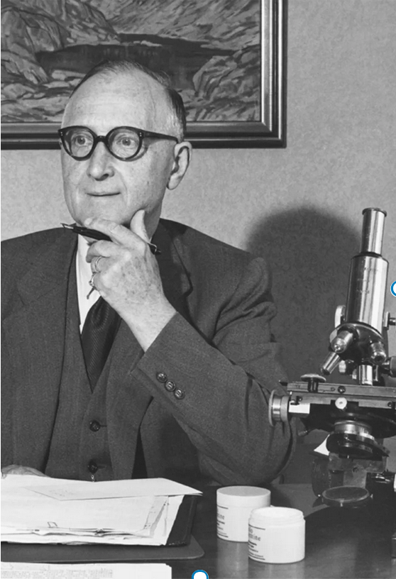 HEYDAY X Louis Widmer