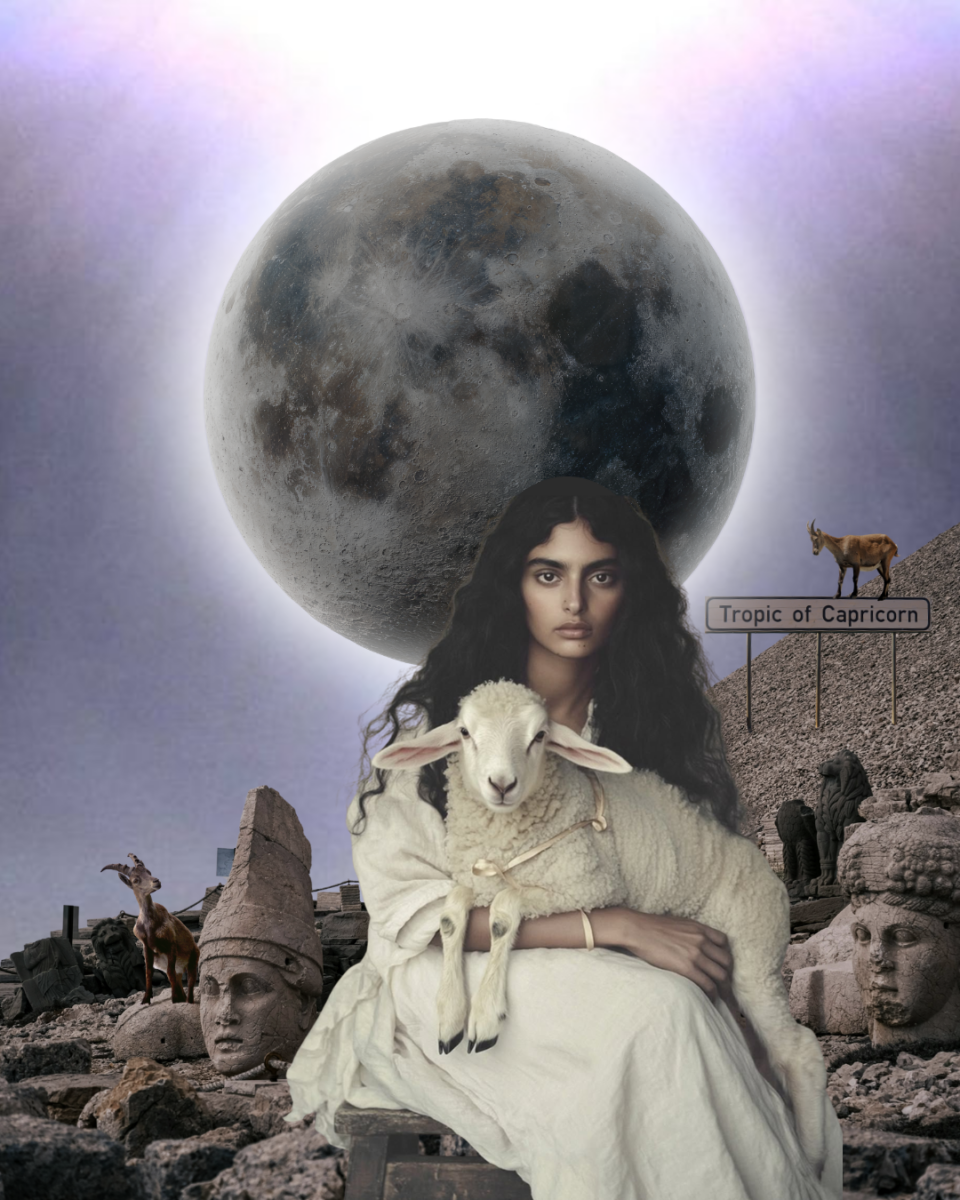 Collage von Amélie Gebhard