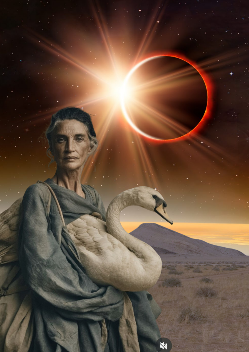 Collage von Amélie Gebhard